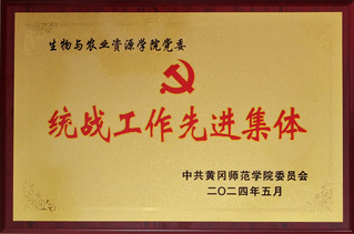 2024.5&nbsp;统战工作先进集体